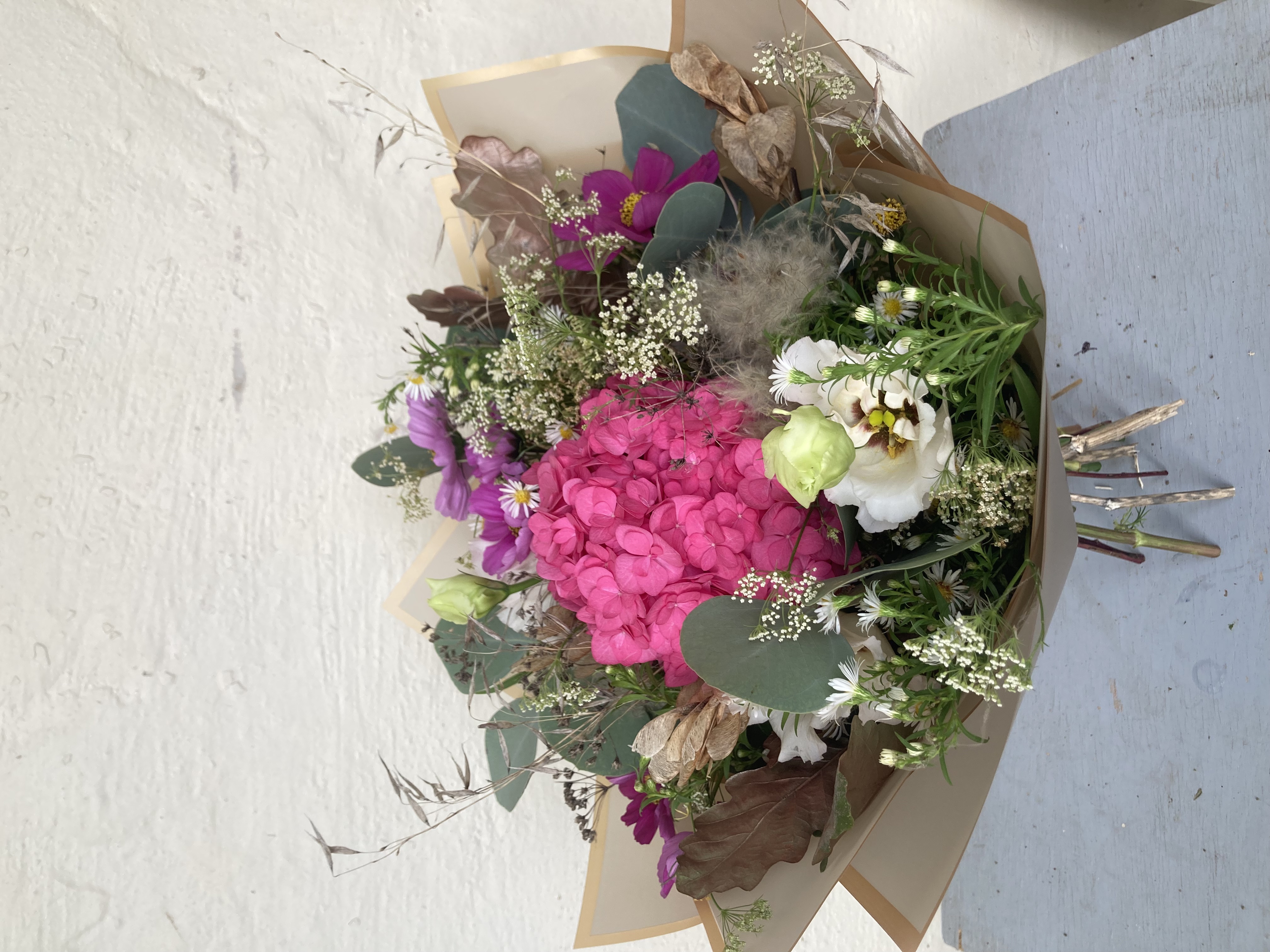 Kytica s hydrangeou